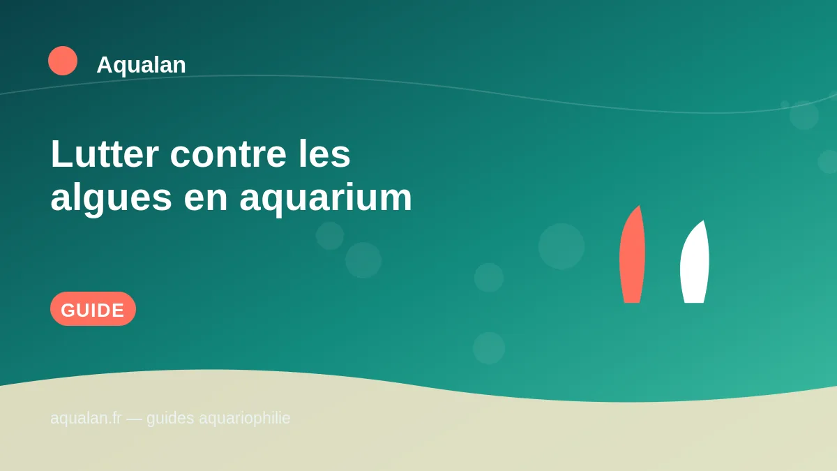 Illustration Aqualan : lutter contre les algues en aquarium