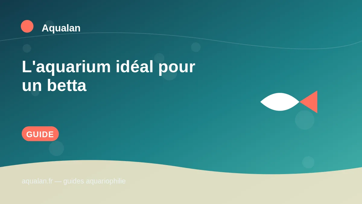 Illustration Aqualan : l'aquarium idéal pour un betta