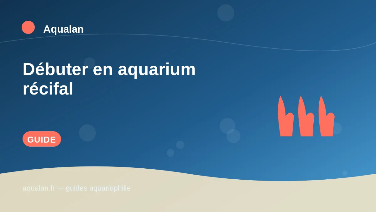 Illustration Aqualan : débuter en aquarium récifal