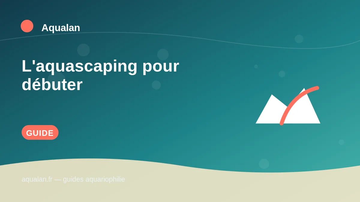 Illustration Aqualan : l'aquascaping pour débuter