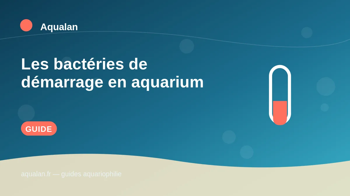 Illustration Aqualan : les bactéries de démarrage en aquarium