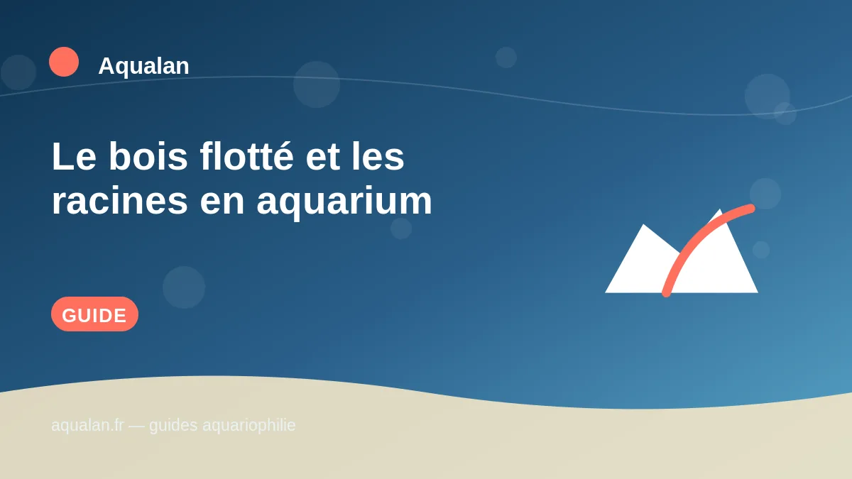Illustration Aqualan : le bois flotté et les racines en aquarium