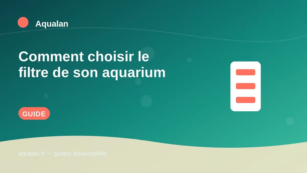 Illustration Aqualan : comment choisir le filtre de son aquarium