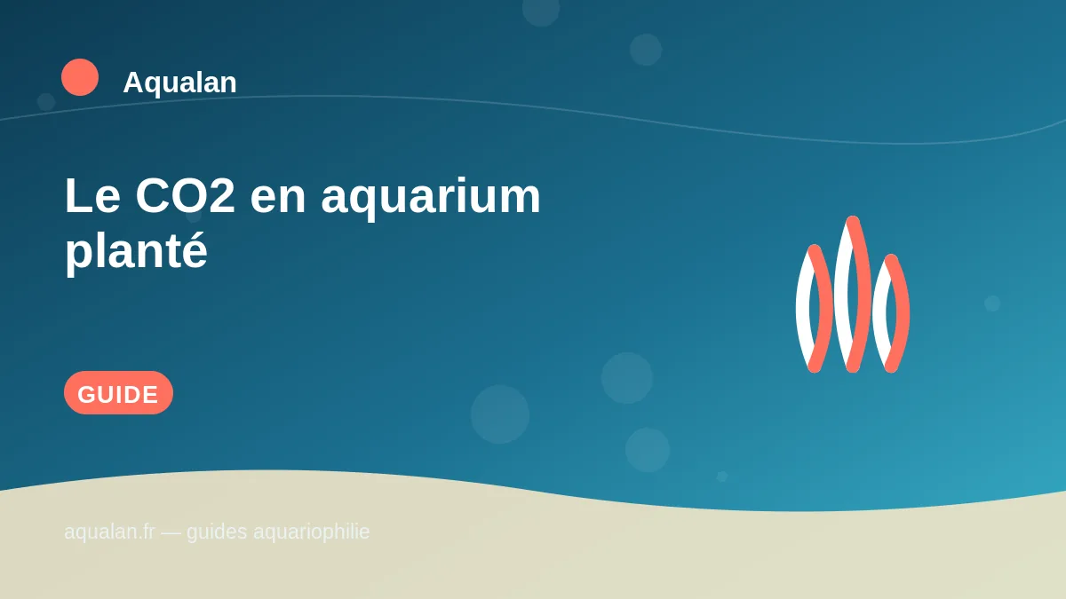 Illustration Aqualan : le co2 en aquarium planté