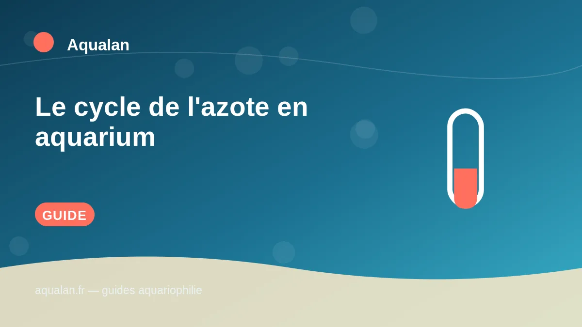 Illustration Aqualan : le cycle de l'azote en aquarium
