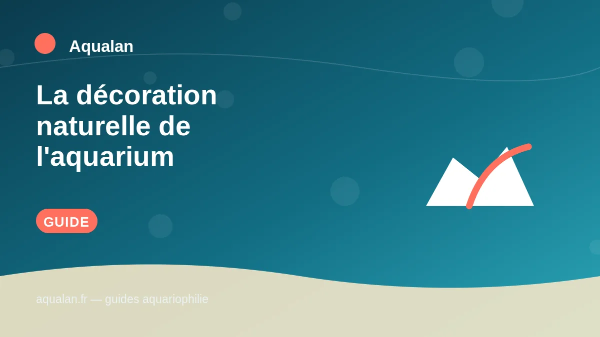 Illustration Aqualan : la décoration naturelle de l'aquarium