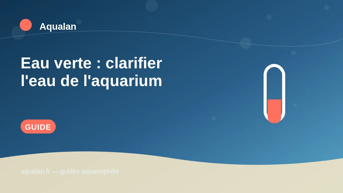 Illustration Aqualan : eau verte : clarifier l'eau de l'aquarium