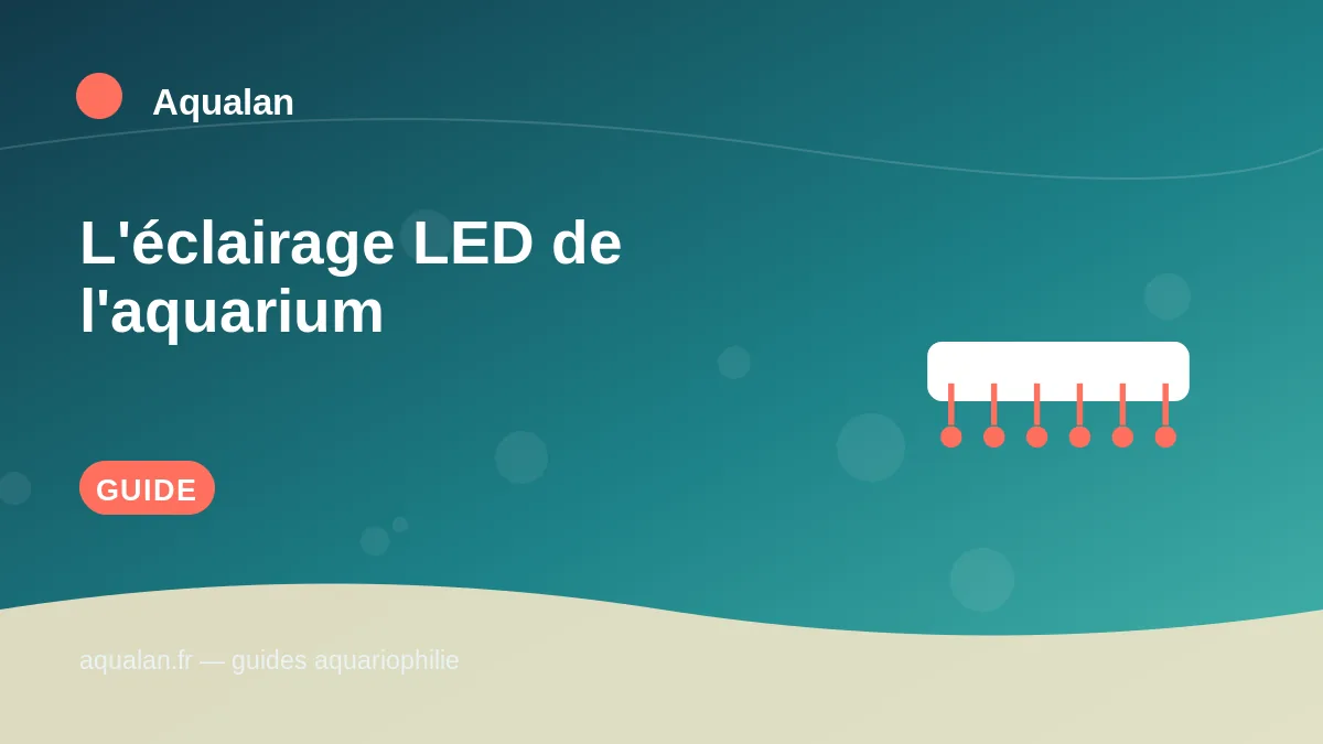 Illustration Aqualan : l'éclairage led de l'aquarium