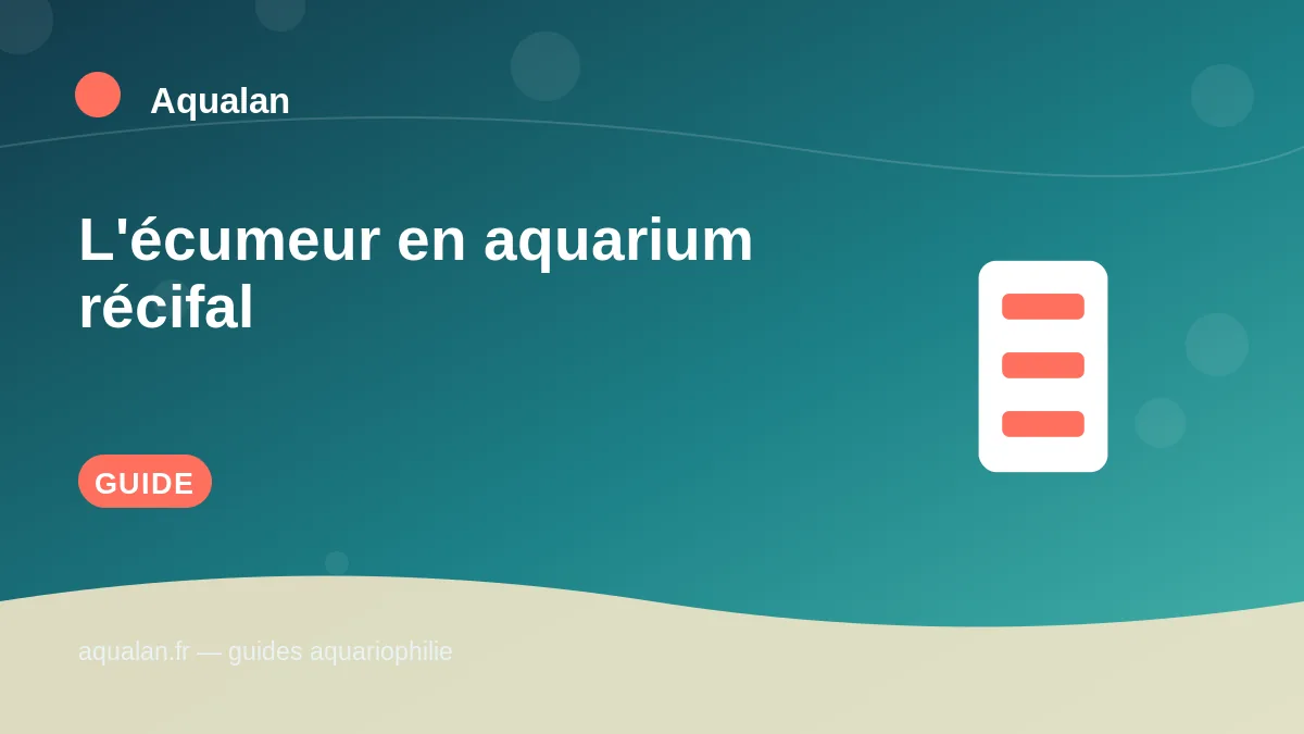 Illustration Aqualan : l'écumeur en aquarium récifal