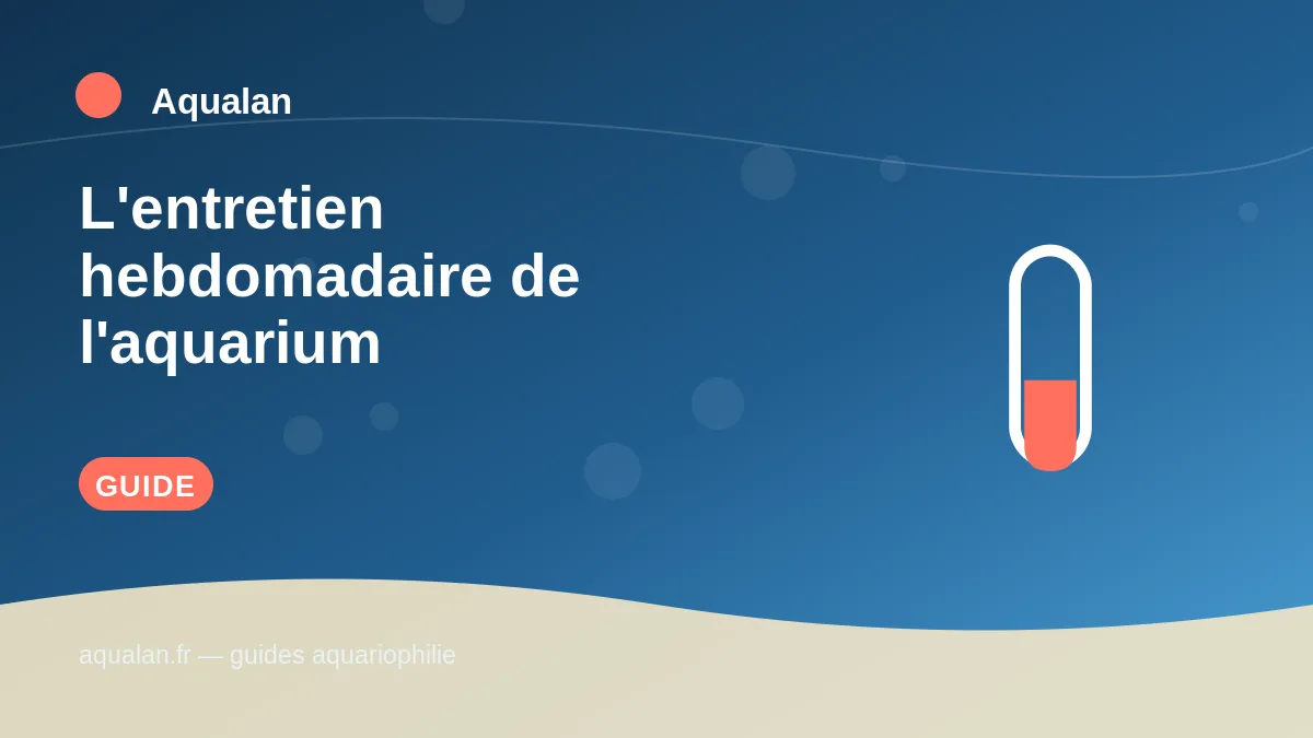 Illustration Aqualan : l'entretien hebdomadaire de l'aquarium
