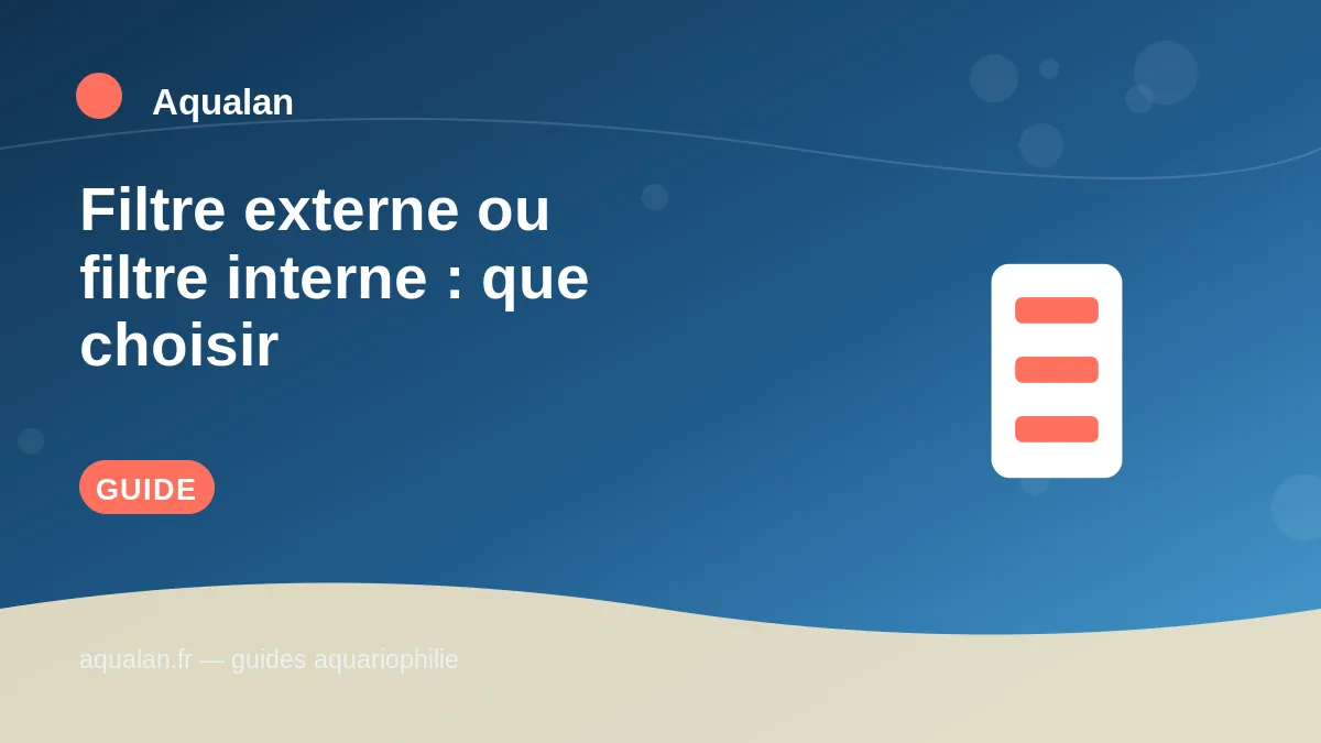Illustration Aqualan : filtre externe ou filtre interne : que choisir