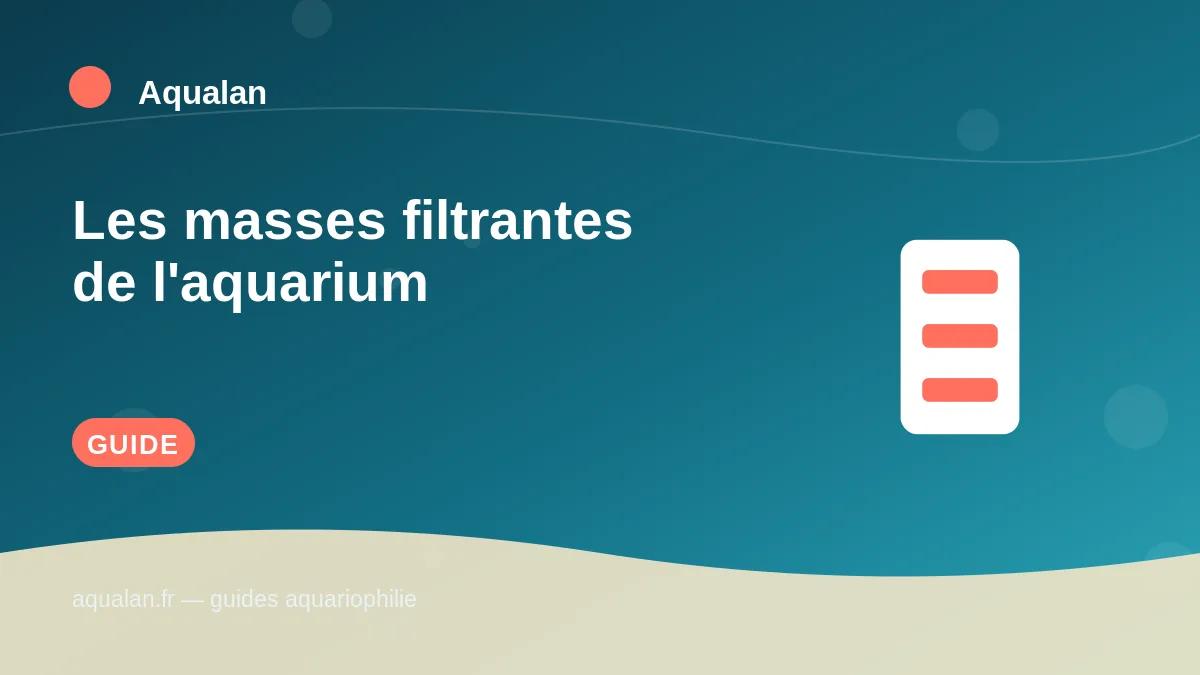 Illustration Aqualan : les masses filtrantes de l'aquarium