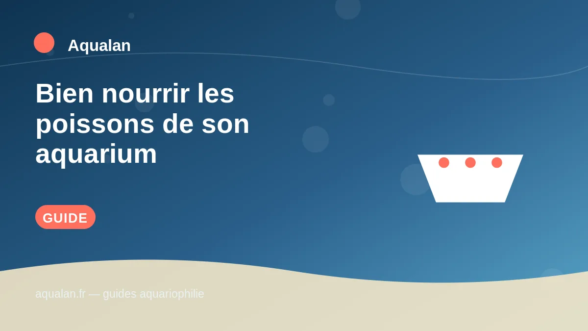 Illustration Aqualan : bien nourrir les poissons de son aquarium