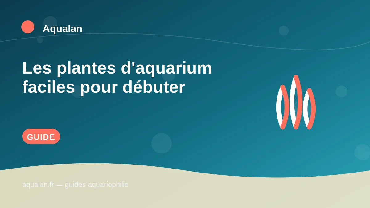 Illustration Aqualan : les plantes d'aquarium faciles pour débuter