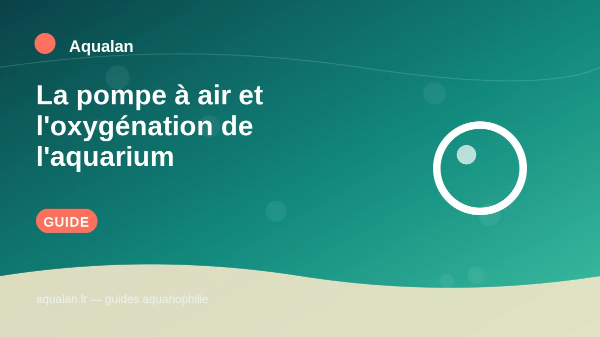 Illustration Aqualan : la pompe à air et l'oxygénation de l'aquarium