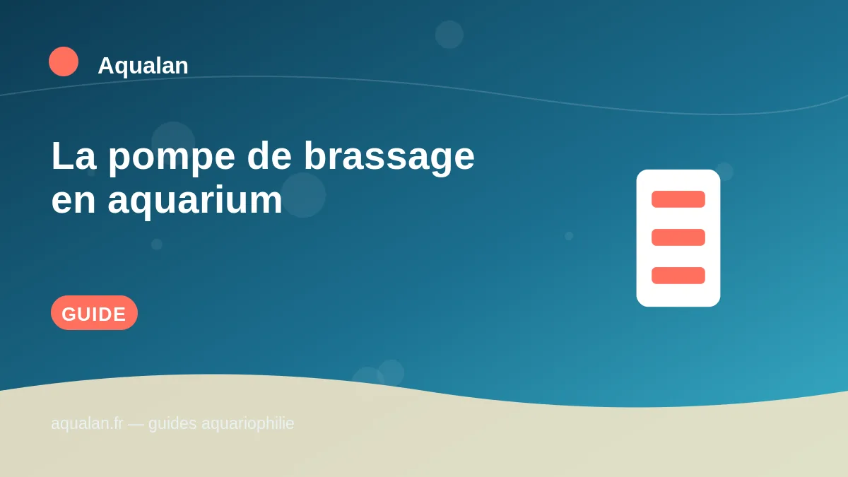 Illustration Aqualan : la pompe de brassage en aquarium