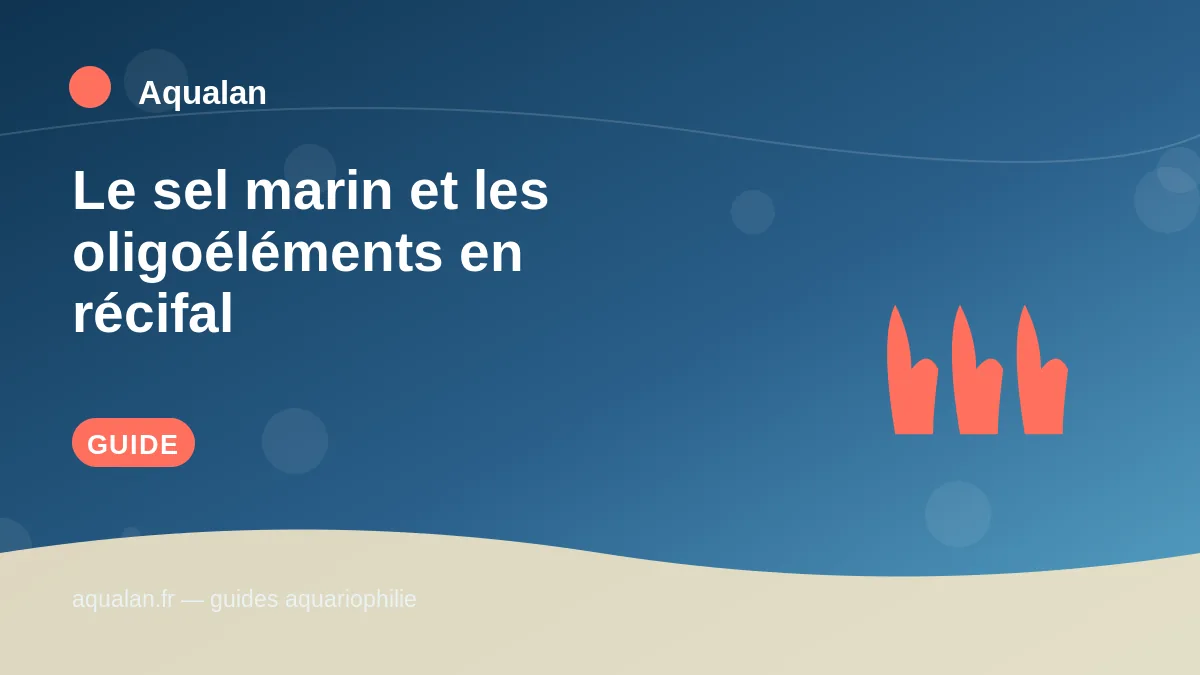 Illustration Aqualan : le sel marin et les oligoéléments en récifal