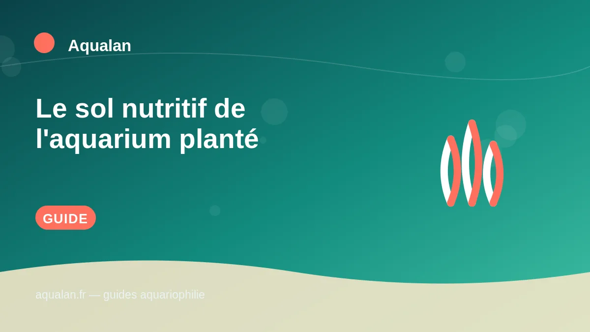 Illustration Aqualan : le sol nutritif de l'aquarium planté