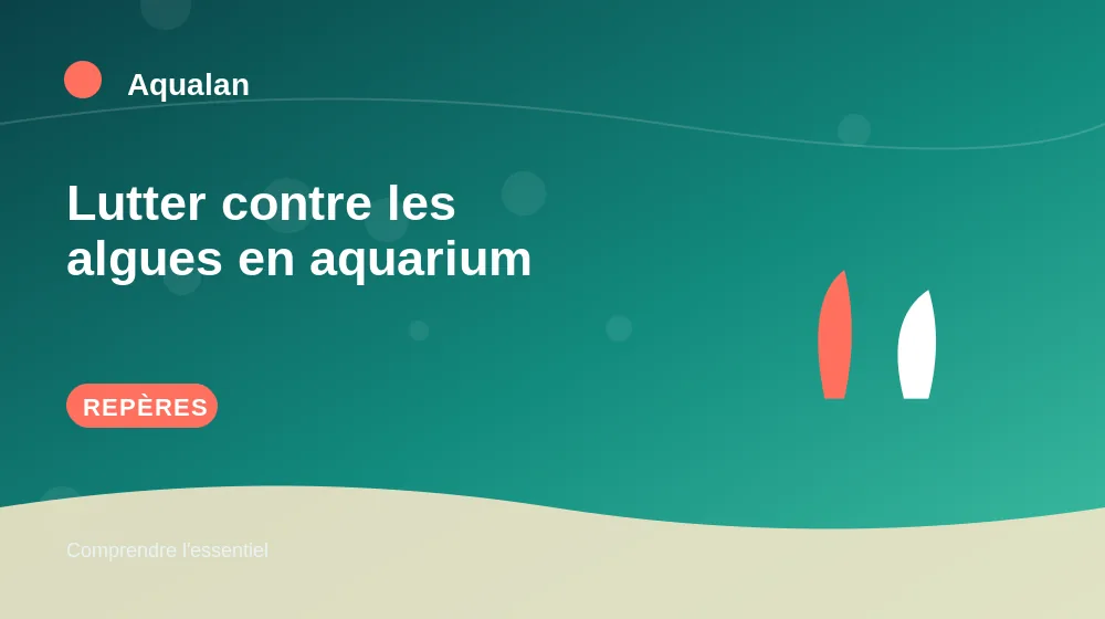 Lutter contre les algues en aquarium : repères essentiels en illustration