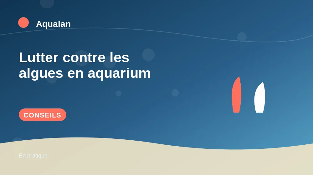Lutter contre les algues en aquarium : conseils pratiques en illustration