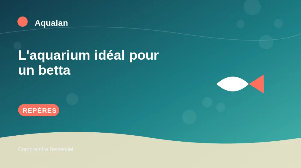 L'aquarium idéal pour un betta : repères essentiels en illustration