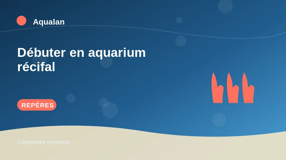 Débuter en aquarium récifal : repères essentiels en illustration