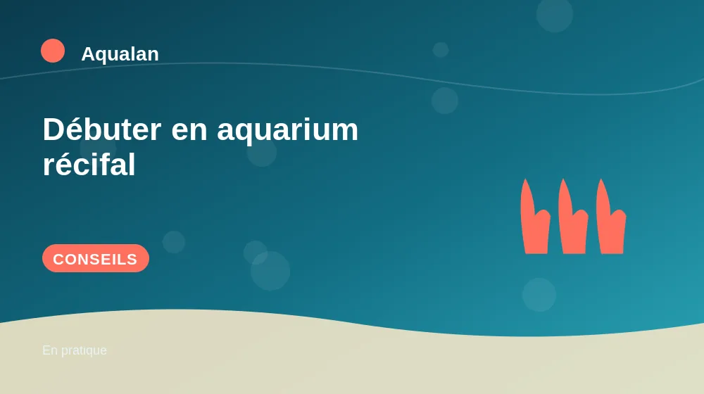 Débuter en aquarium récifal : conseils pratiques en illustration