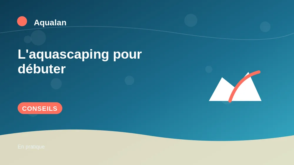 L'aquascaping pour débuter : conseils pratiques en illustration