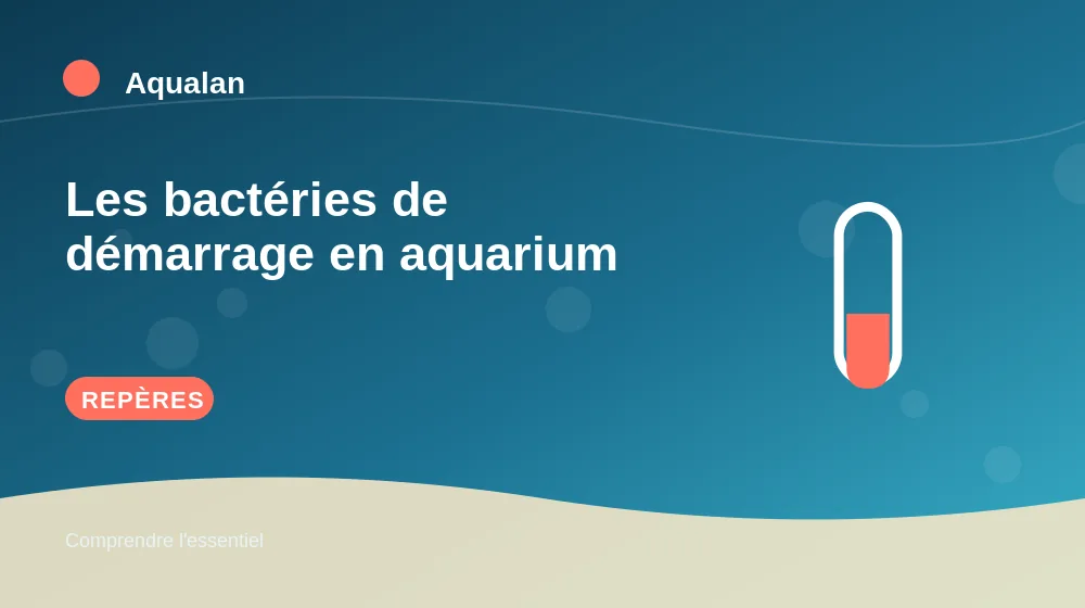 Les bactéries de démarrage en aquarium : repères essentiels en illustration