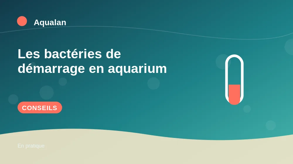 Les bactéries de démarrage en aquarium : conseils pratiques en illustration