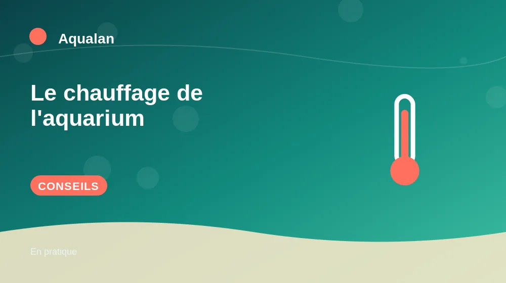 Le chauffage de l'aquarium : conseils pratiques en illustration