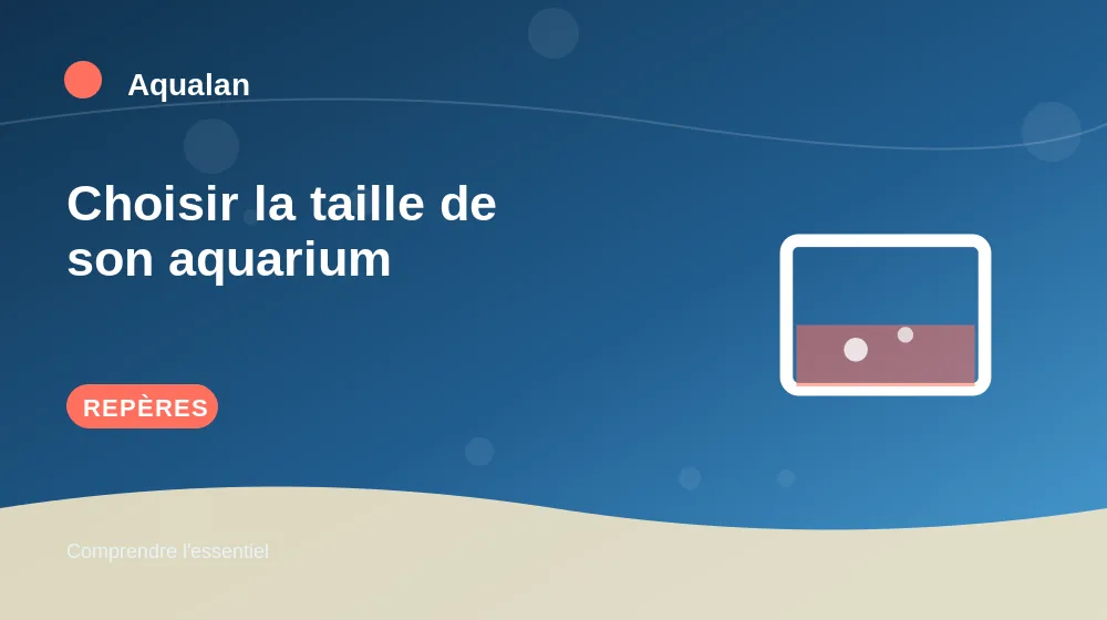 Choisir la taille de son aquarium : repères essentiels en illustration