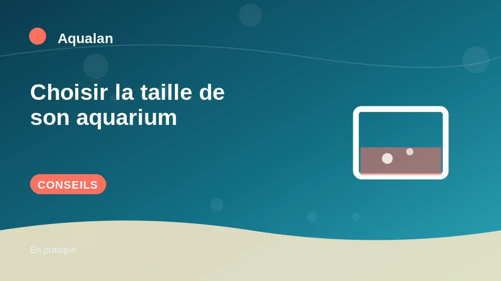 Choisir la taille de son aquarium : conseils pratiques en illustration
