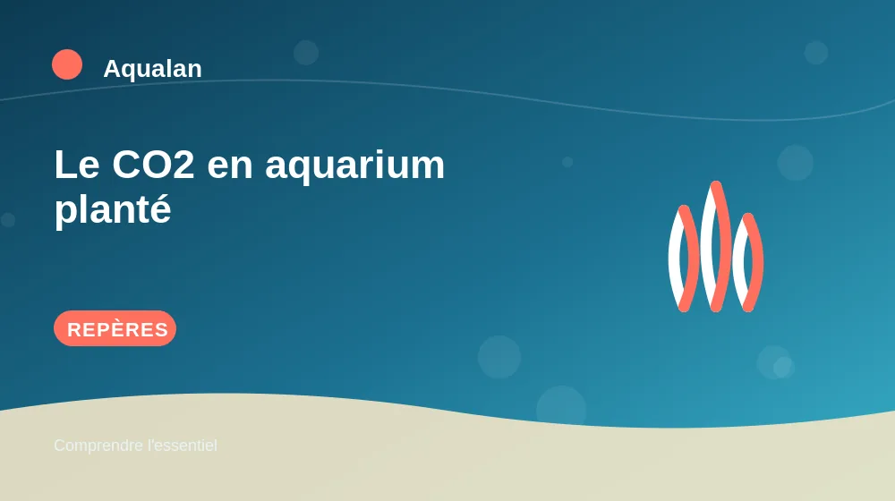Le CO2 en aquarium planté : repères essentiels en illustration