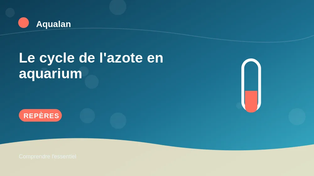 Le cycle de l'azote en aquarium : repères essentiels en illustration