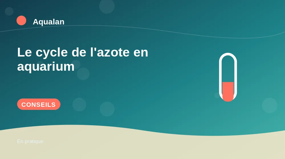 Le cycle de l'azote en aquarium : conseils pratiques en illustration