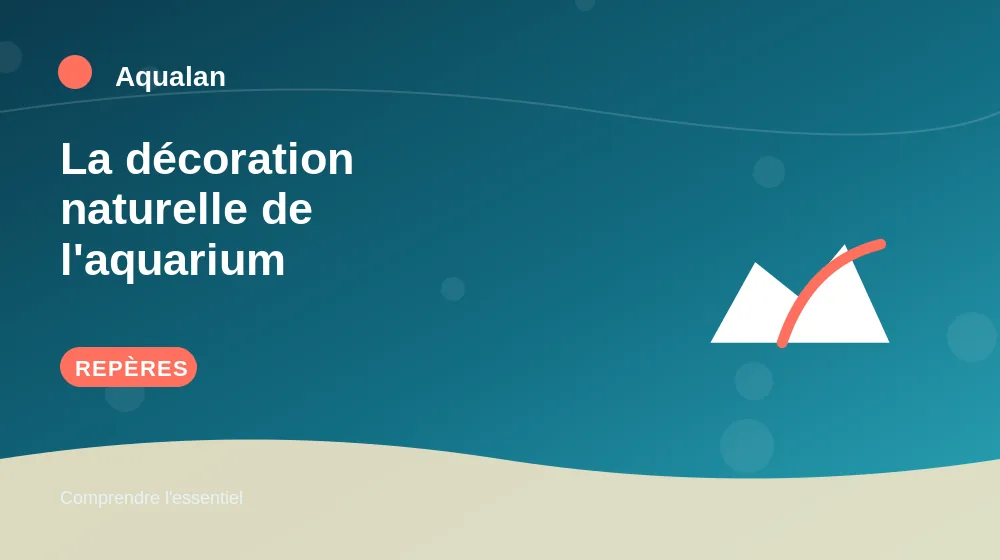 La décoration naturelle de l'aquarium : repères essentiels en illustration