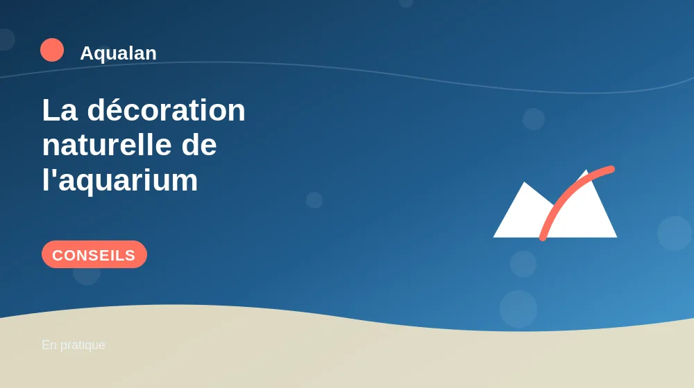 La décoration naturelle de l'aquarium : conseils pratiques en illustration