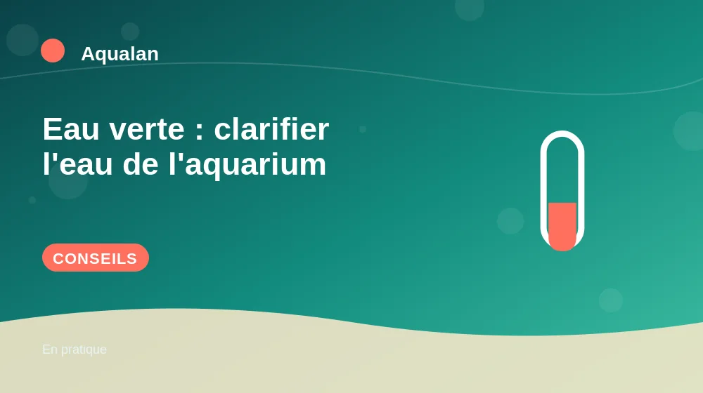 Eau verte : clarifier l'eau de l'aquarium : conseils pratiques en illustration