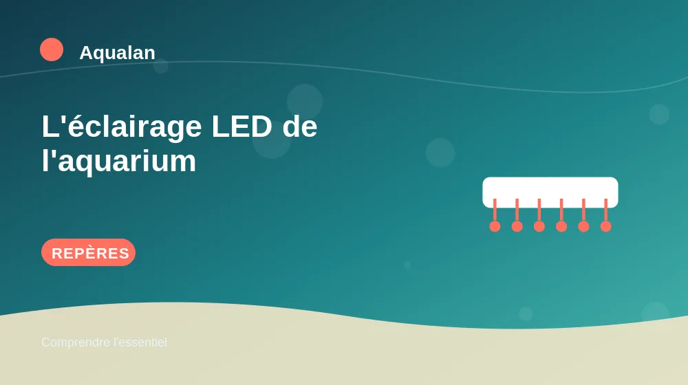 L'éclairage LED de l'aquarium : repères essentiels en illustration