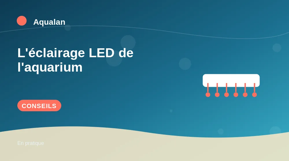 L'éclairage LED de l'aquarium : conseils pratiques en illustration