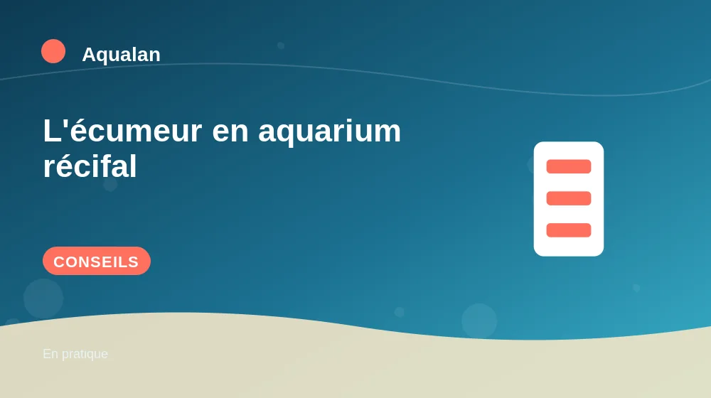 L'écumeur en aquarium récifal : conseils pratiques en illustration