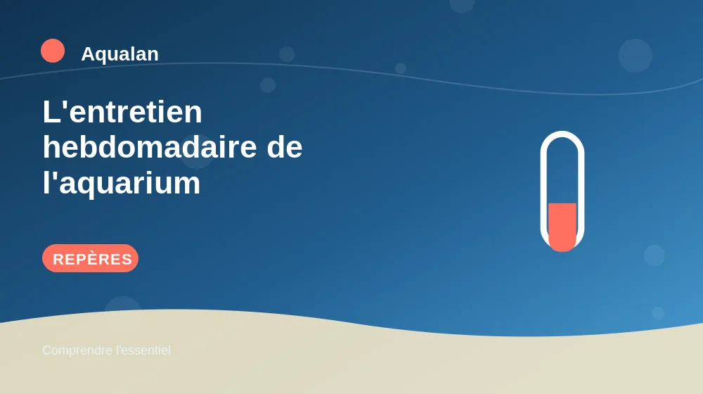 L'entretien hebdomadaire de l'aquarium : repères essentiels en illustration