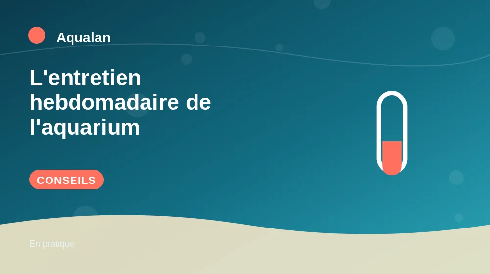 L'entretien hebdomadaire de l'aquarium : conseils pratiques en illustration