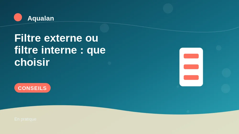 Filtre externe ou filtre interne : que choisir : conseils pratiques en illustration