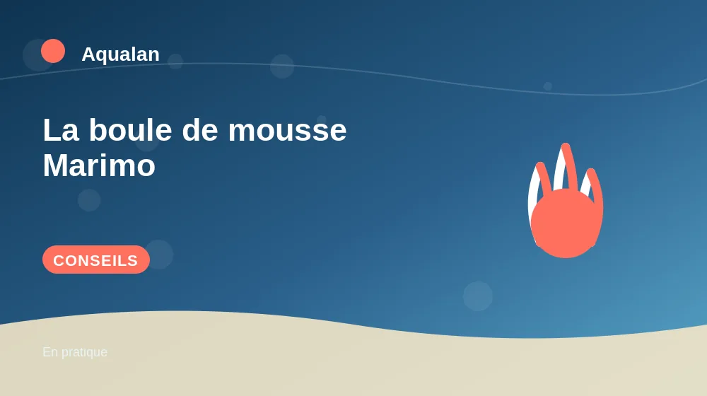 La boule de mousse Marimo : conseils pratiques en illustration