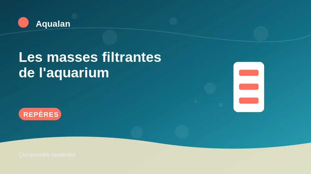 Les masses filtrantes de l'aquarium : repères essentiels en illustration