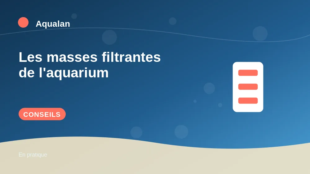 Les masses filtrantes de l'aquarium : conseils pratiques en illustration