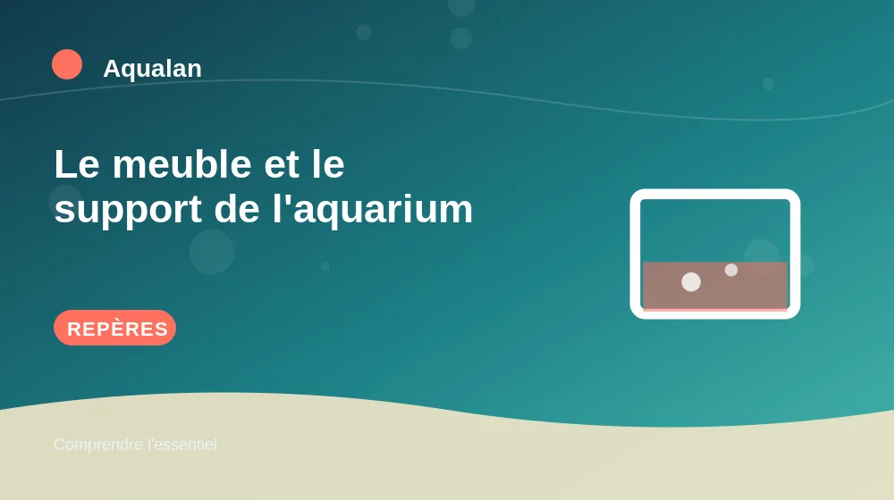 Le meuble et le support de l'aquarium : repères essentiels en illustration