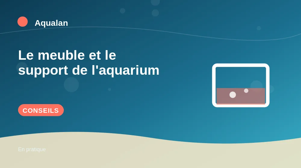 Le meuble et le support de l'aquarium : conseils pratiques en illustration